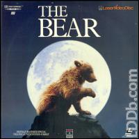 The Bear