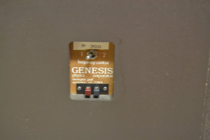 Genesis Physics Model II Floor Standing Speakers * New Foams 7/26 * Fully Serviced