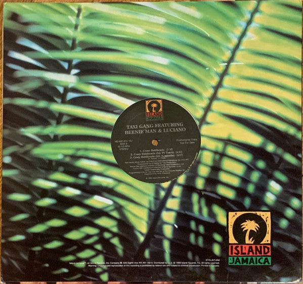 The Taxi Gang feat. Beenie Man, Luciano (2) : Crazy Baldheads (12", Promo)