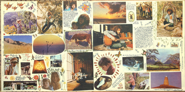 Johnny Rivers : Home Grown (LP, Album, Res)