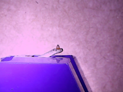 Pickering D1527-2 Stylus