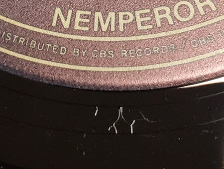 Steve Forbert : Alive On Arrival (LP, Album, San)