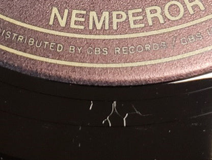 Steve Forbert : Alive On Arrival (LP, Album, San)