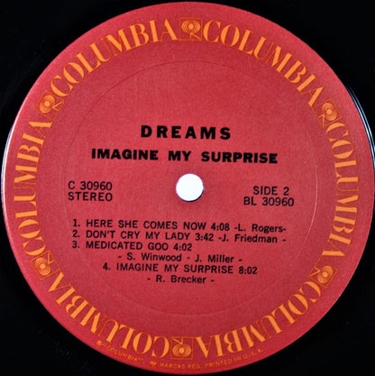 Dreams (4) : Imagine My Surprise (LP, Album, Ter)