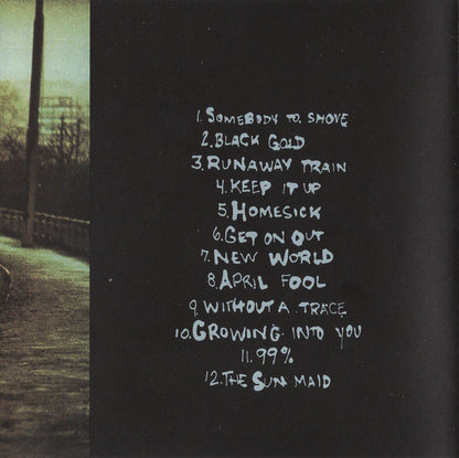 Soul Asylum (2) : Grave Dancers Union (CD, Album, Pit)