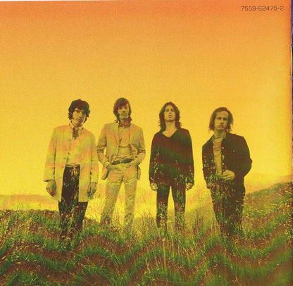 Various : Stoned Immaculate: The Music Of The Doors (CD, Album)