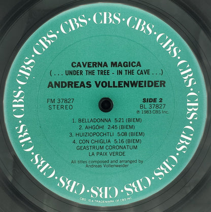 Andreas Vollenweider : Caverna Magica (...Under The Tree - In The Cave...) (LP, Album, Car)