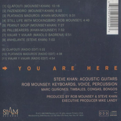 Steve Khan ᛫ Rob Mounsey : You Are Here (CD, Album)