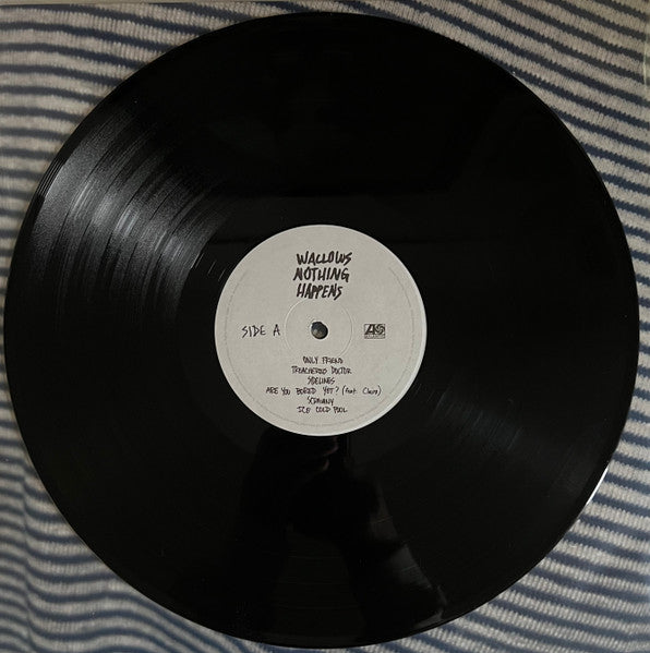 Wallows : Nothing Happens (LP, Album)