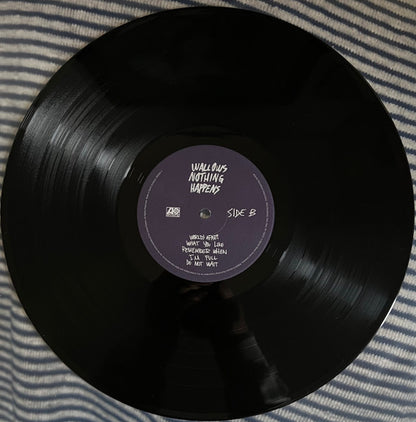 Wallows : Nothing Happens (LP, Album)