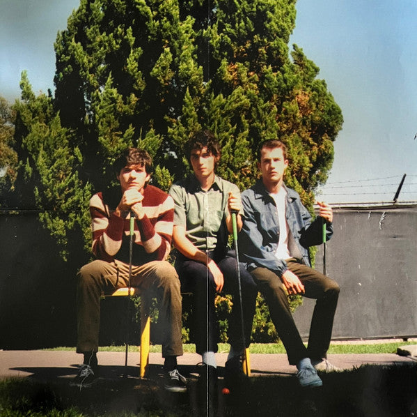 Wallows : Nothing Happens (LP, Album)