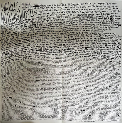 Wallows : Nothing Happens (LP, Album)