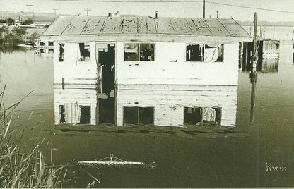 Kyuss : ...And The Circus Leaves Town (CD, Album)