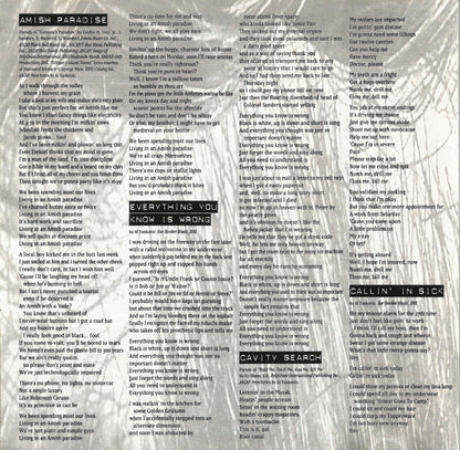 "Weird Al" Yankovic : Bad Hair Day (CD, Album, SRC)