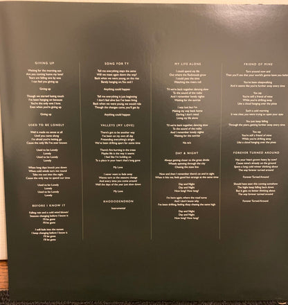 Whitney (8) : Forever Turned Around (LP, Album)