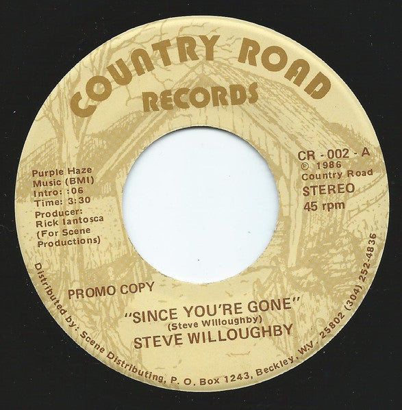 Steve Willoughby* : Since You're Gone (7", Promo)