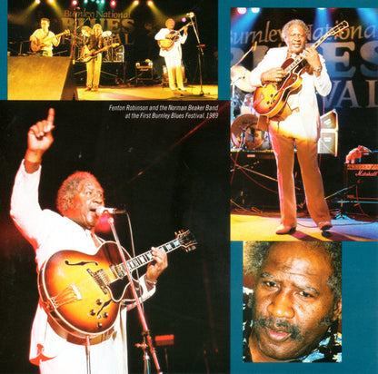 Fenton Robinson : Out Of Chicago (The Chicago Blues Master - Live And Studio Sessions 1989/92) (CD, Album)