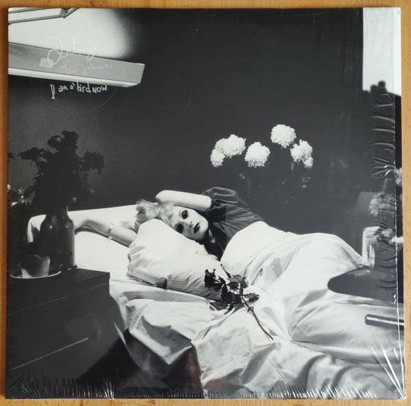 Antony And The Johnsons : I Am A Bird Now (LP, Album, RE)