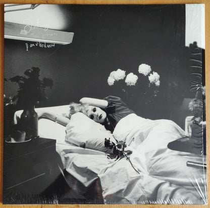 Antony And The Johnsons : I Am A Bird Now (LP, Album, RE)