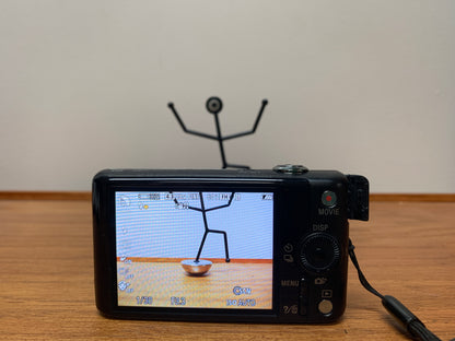 Sony Cybershot DSC-WX220 Digital Camera