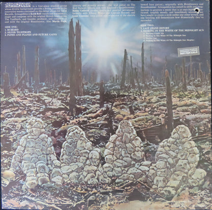 Armageddon (6) : Armageddon (LP, Album, Promo)
