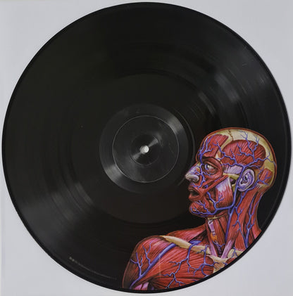 Tool (2) : Lateralus (2xLP, Album, Ltd, Pic, RE)