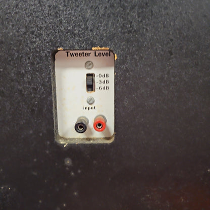 OHM D2 Floor Standing Speakers