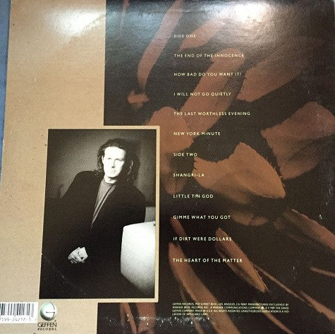 Don Henley : The End Of The Innocence (LP, Album, SRC)