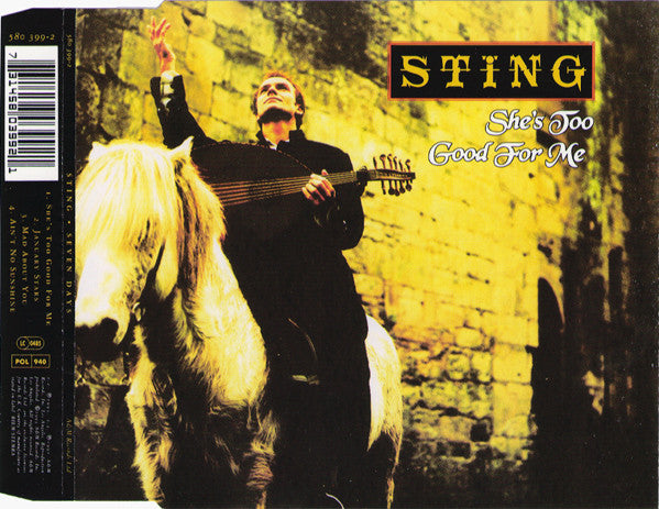 Sting : She's Too Good For Me (CD, Maxi)