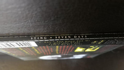 Sting : She's Too Good For Me (CD, Maxi)