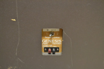 Genesis Physics Model II Floor Standing Speakers * New Foams 7/26 * Fully Serviced