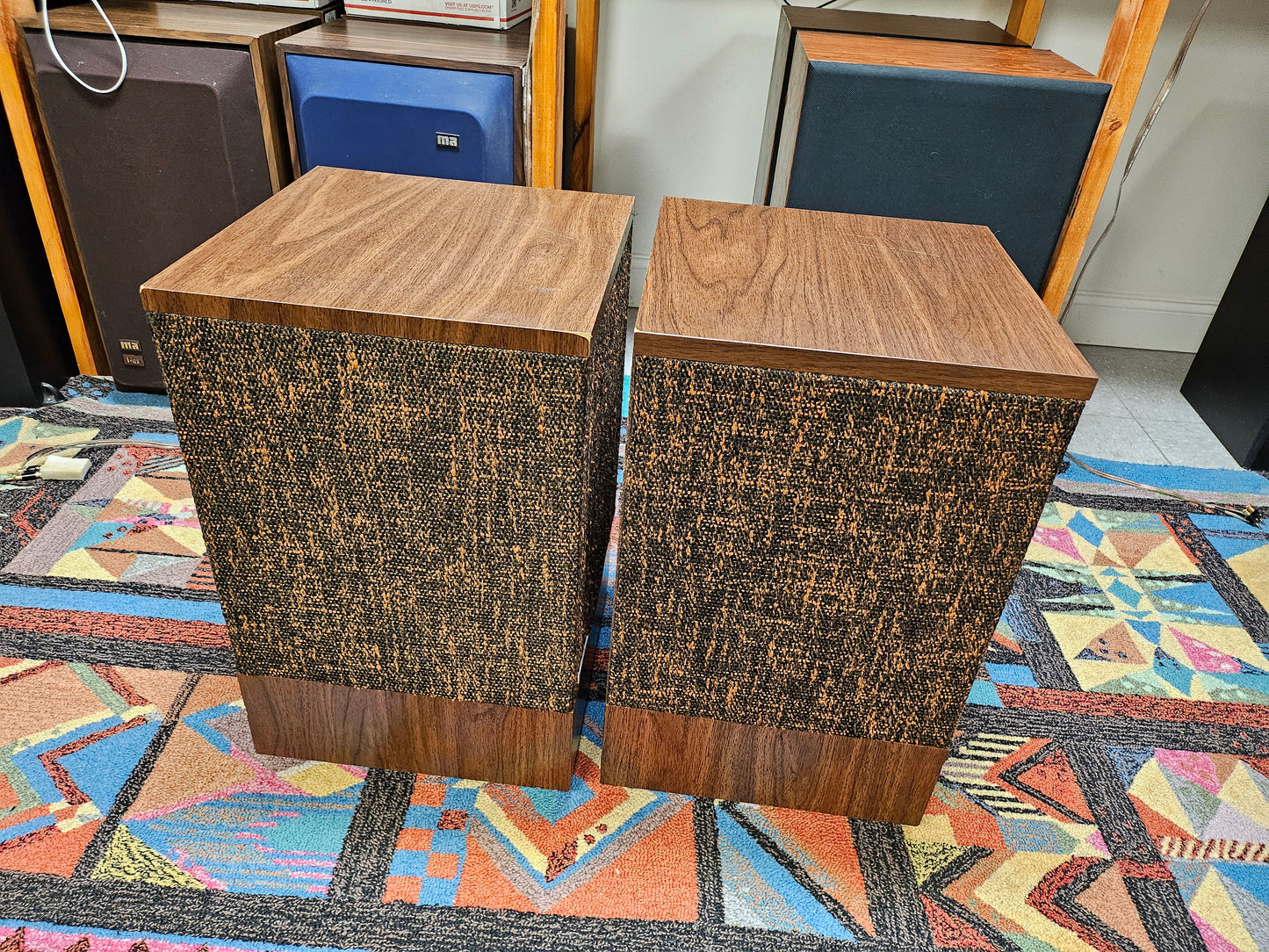 Bose 501 Series II Floor Standing Speakers
