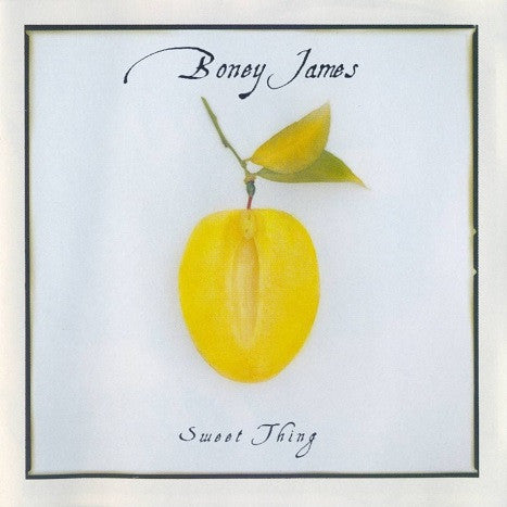 Boney James : Sweet Thing (CD, Album)