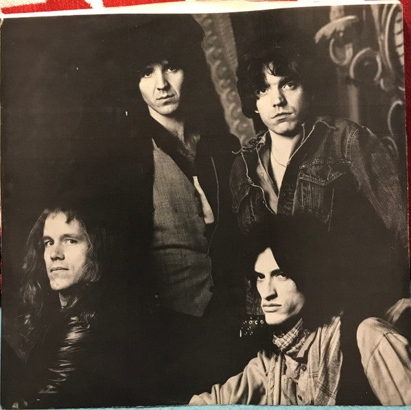 Buy The Joe Perry Project : I've Got The Rock 'N' Rolls Again (LP