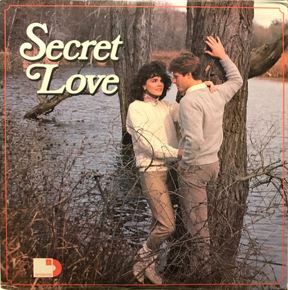 Various : Secret Love (4xLP, Comp)