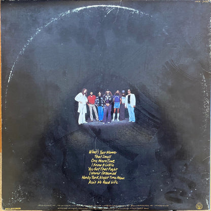 Lynyrd Skynyrd : Street Survivors (LP, Album, Pin)