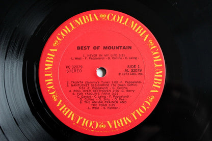 Mountain : The Best Of Mountain (LP, Comp, RE, Pit)