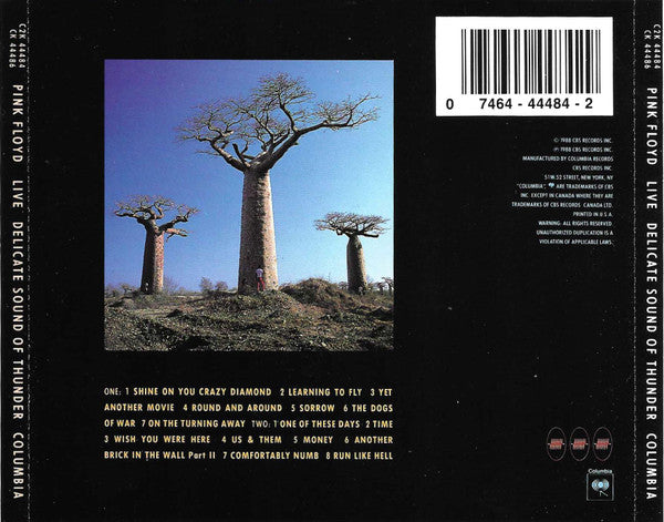 Pink Floyd : Delicate Sound Of Thunder (2xCD, Album, JVC)