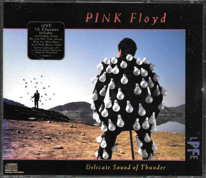 Pink Floyd : Delicate Sound Of Thunder (2xCD, Album, JVC)