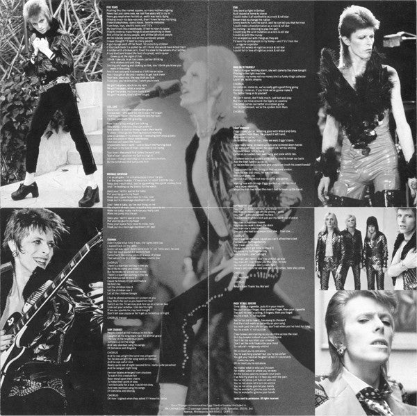Buy David Bowie : The Rise And Fall Of Ziggy Stardust And The