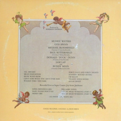 Muddy Waters / Otis Spann / Mike Bloomfield / Paul Butterfield / Donald "Duck" Dunn / Sam Lay And Buddy Miles : Fathers And Sons (2xLP, Album, Ter)