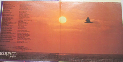 Johnny Rivers : Realization (LP, Album, Ter)