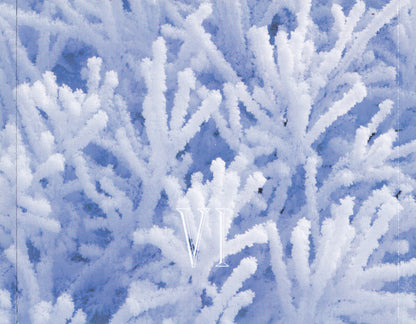 Various : A Winter's Solstice VI (A Windham Hill Sampler) (CD, Smplr)
