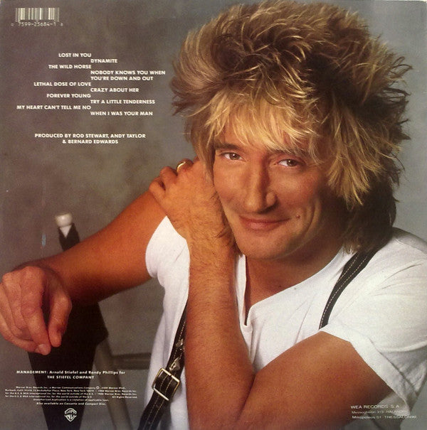 Rod Stewart : Out Of Order (LP, Album)