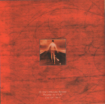 Freddy Jones Band* : Lucid (CD, Album)