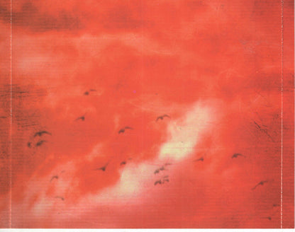 Freddy Jones Band* : Lucid (CD, Album)