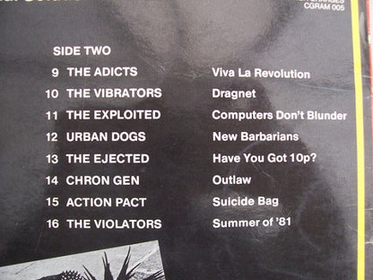 Various : Punk And Disorderly III - The Final Solution (LP, Comp, RP, Gre)