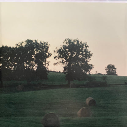 Ben Schneider, Lord Huron : Music for The Starling Girl (Score & Music from the Original Motion Picture) (LP, Album, Tra)