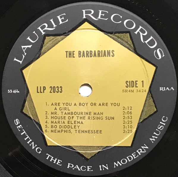 The Barbarians : The Barbarians (LP, Album, Mono, Roc)