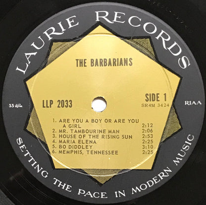 The Barbarians : The Barbarians (LP, Album, Mono, Roc)